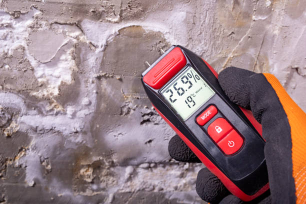 Best Certified Mold Removal  in East Valley, NV