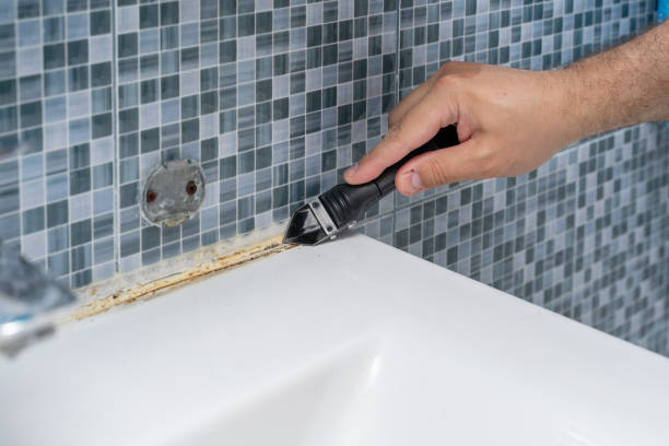 Best Mold Cleaning Services  in East Valley, NV